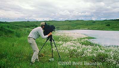 &copy;2000 Brett Baunton @ work w/4x5
